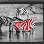 Как раскрасить черно-белую фотографию в "Фотошопе" вручную