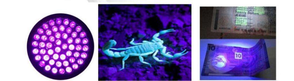 Вот так выглядят вещи или животные в ультрафиолетовом свете