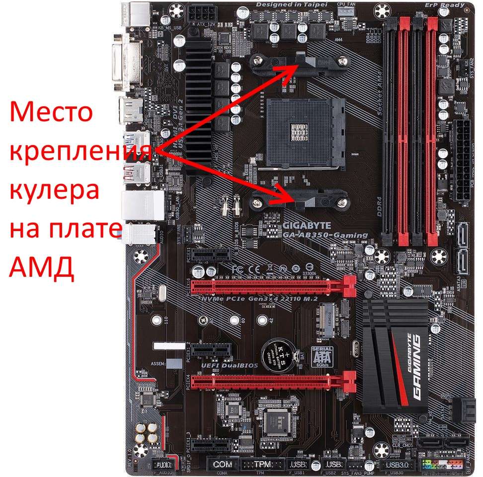Как установить кулер на процессор AMD?